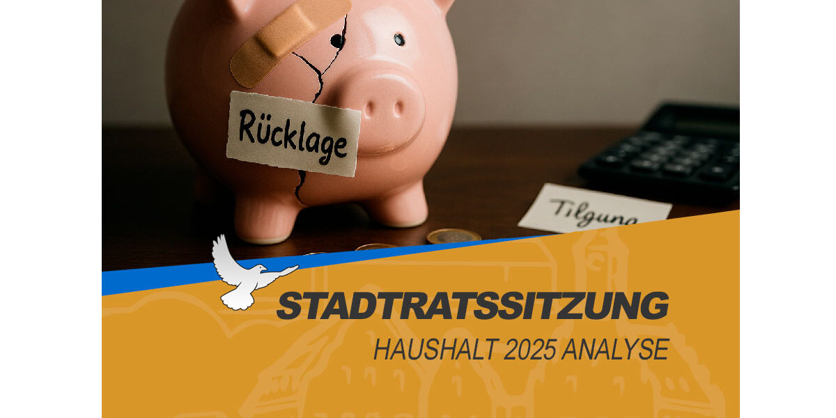 haushalt2025 Haushaltsanalyse 2025