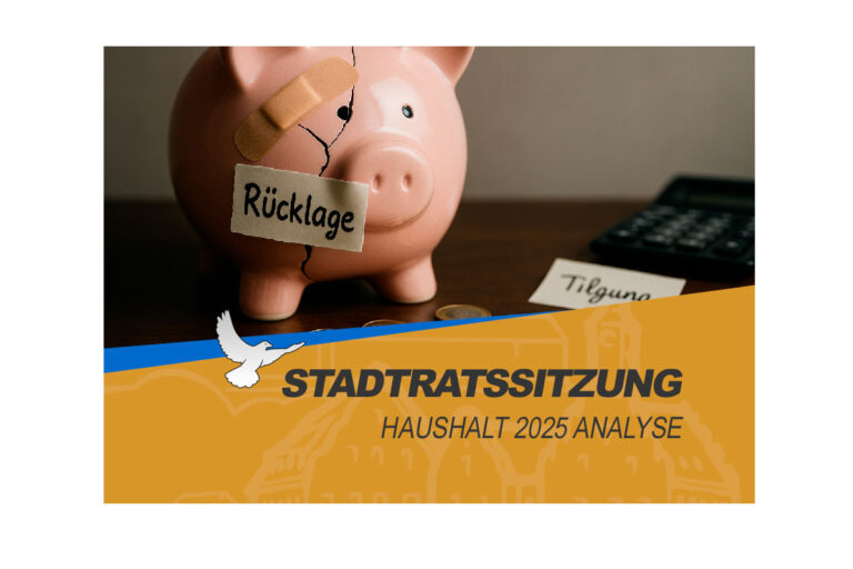 Haushaltsanalyse 2025