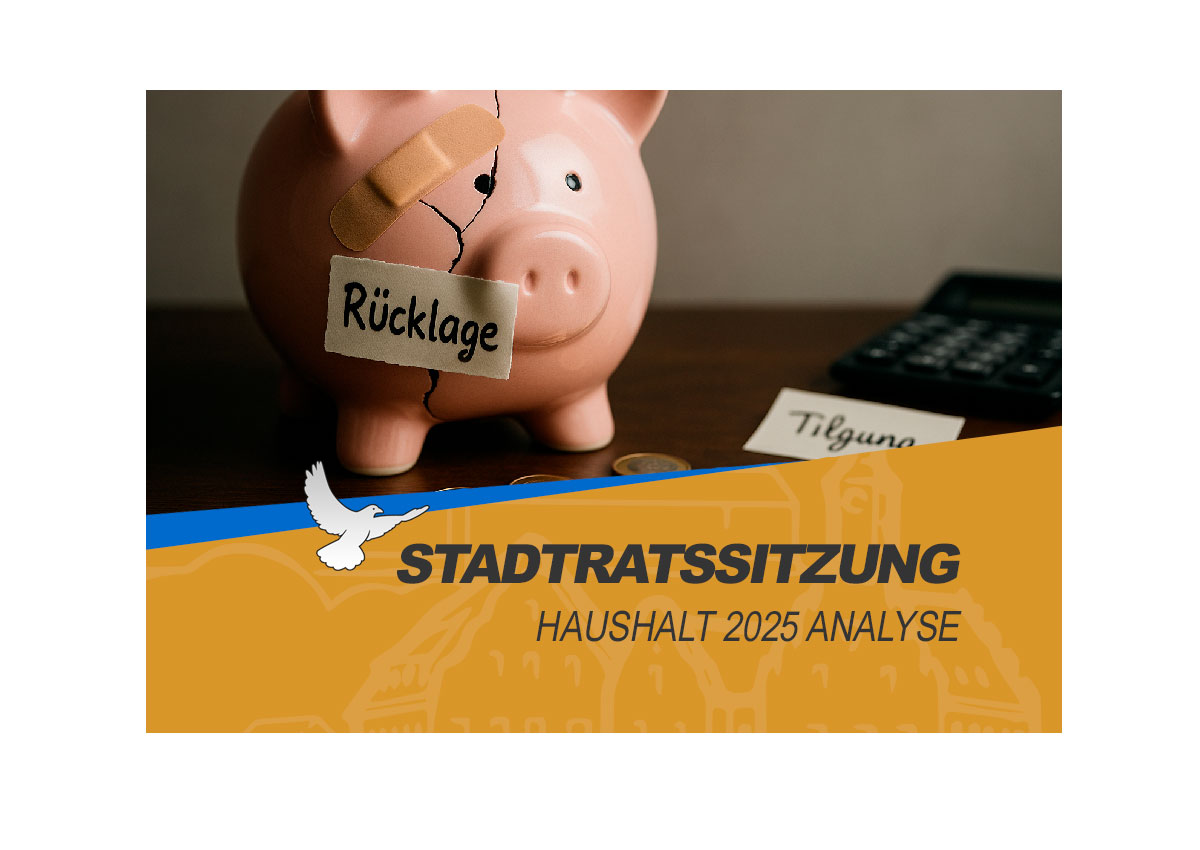 Analyse der Stadtratssitzung vom 02.09.2025 – Zahlen, Risiken, Alternativen
